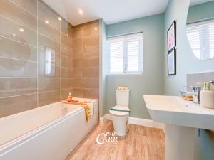 Photo 1- click for photo gallery